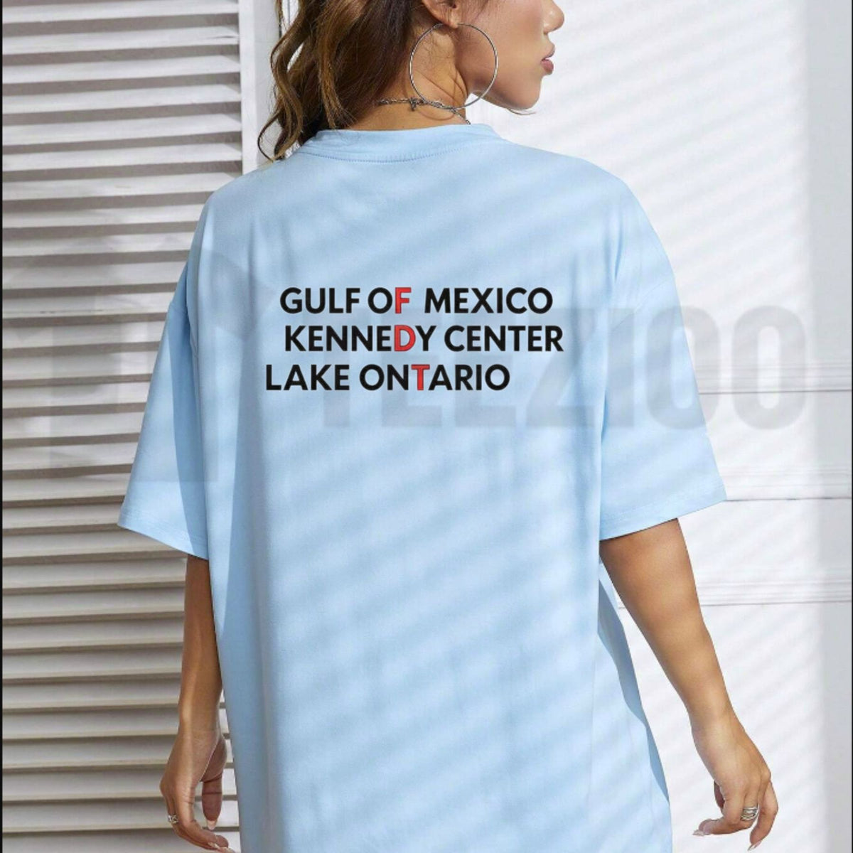 Landmarks & Waterways Geography Top – Gulf Of Mexico Kennedy Center Lake Ontario Graphic Apparel