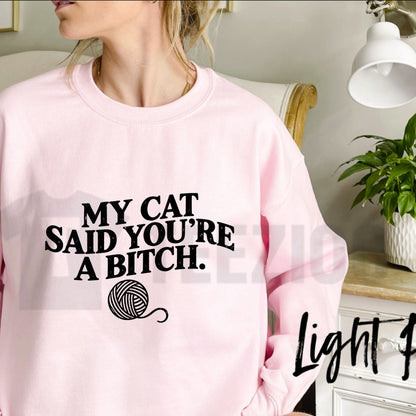Funny Cat Owner Sweatshirt – Sarcastic Cat Graphic Crewneck