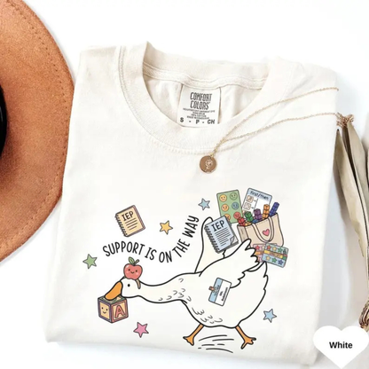 "Silly Goose" Special Ed Teacher T-Shirt – Comfort Colors