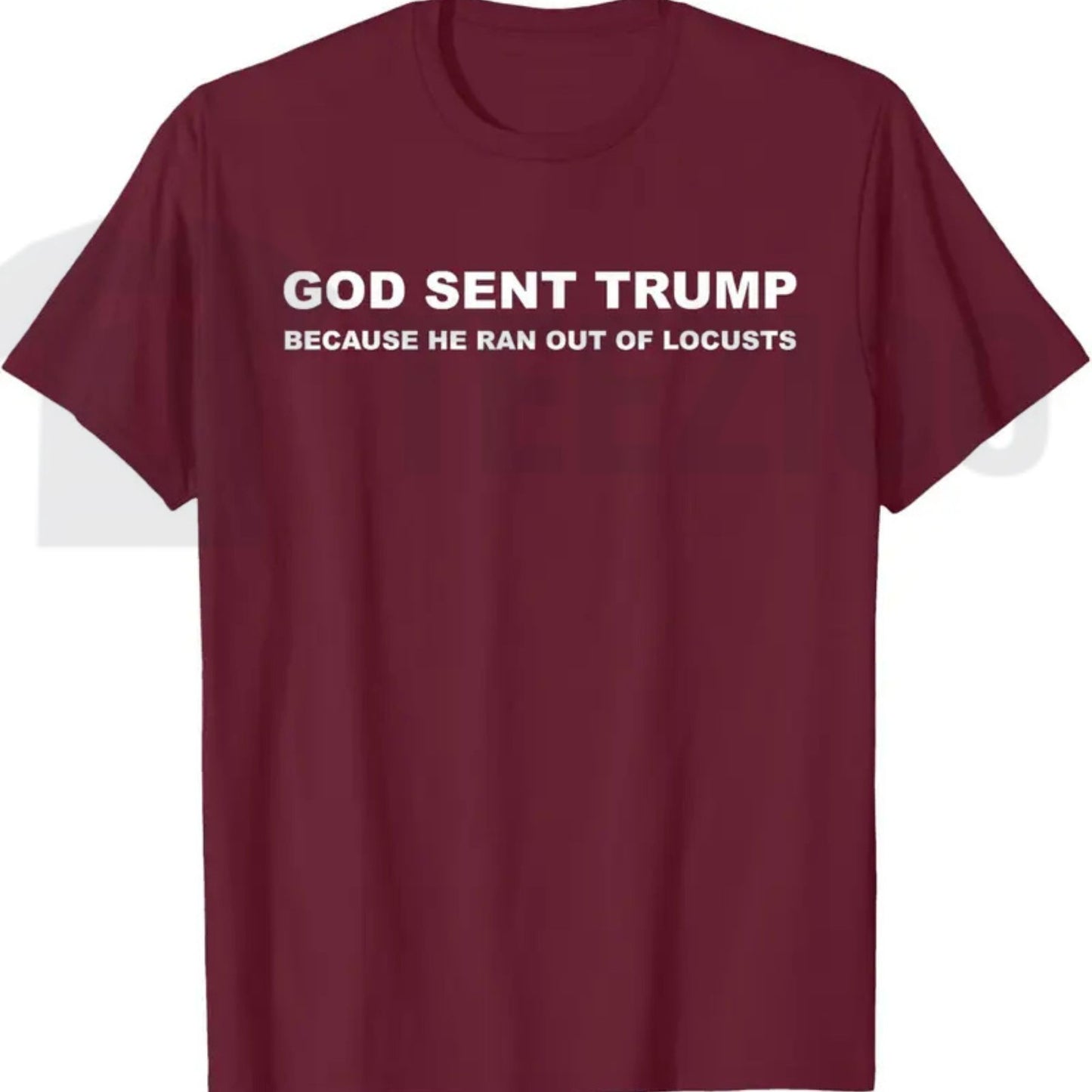 Biblical Plague Satire Graphic Top – Funny Political Humor Locusts Apparel