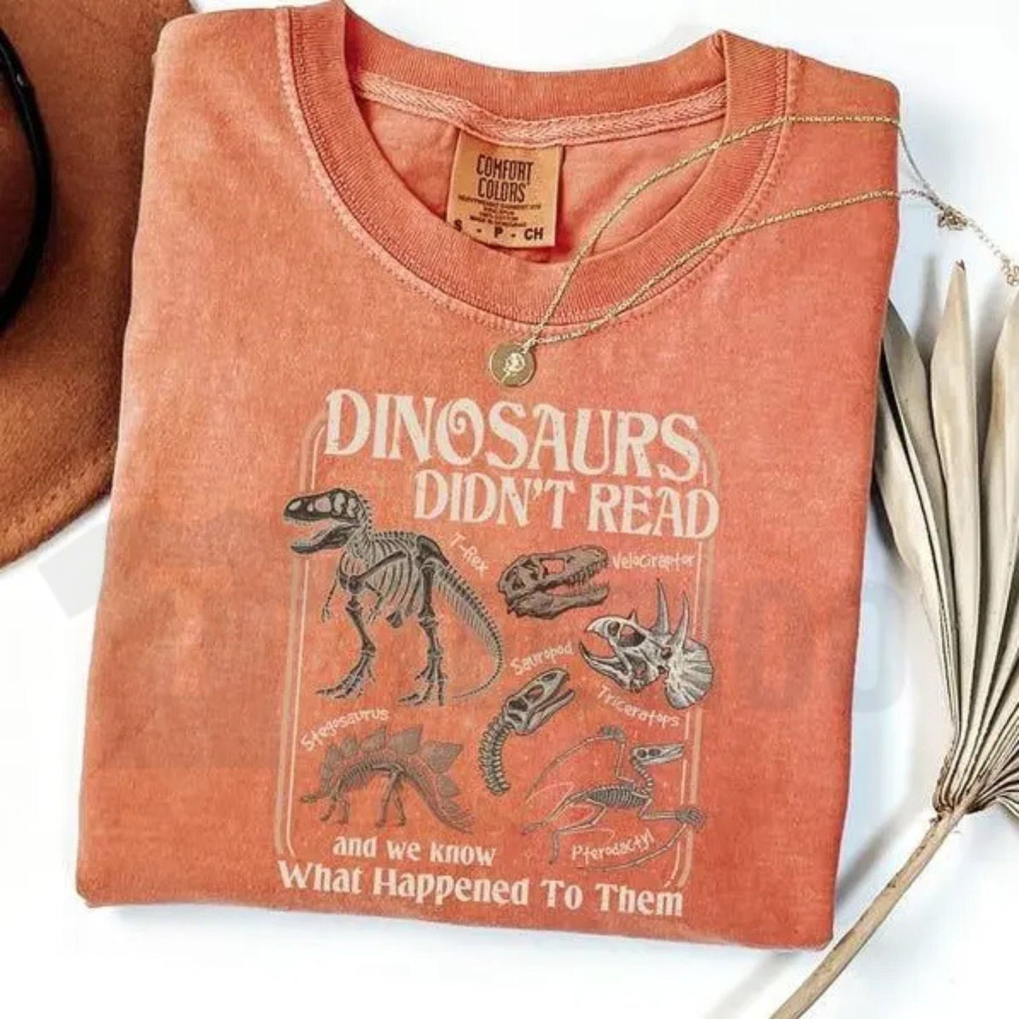 Dinosaurs Didn't Read Comfort Colors Shirt – Funny Teacher Literacy Graphic Tee
