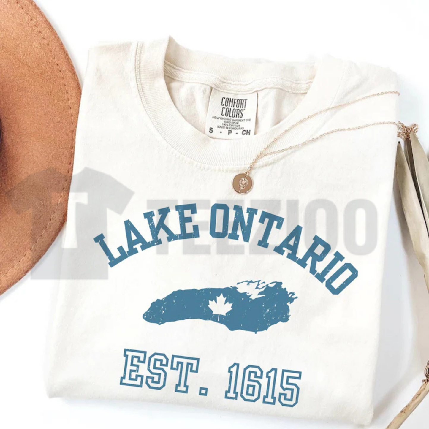 Lake Ontario Anti Trump Protest Comfort Colors Shirt – Activist Graphic Tee