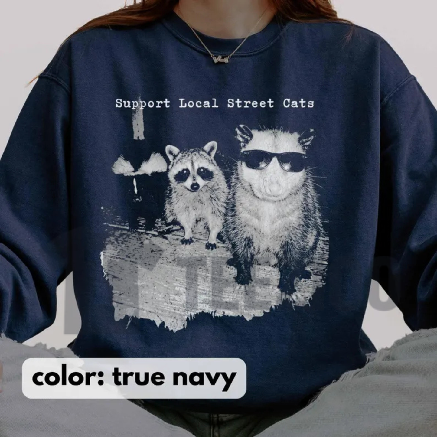 Support Local Street Cats Sweatshirt - Funny Raccoon & Opossum Graphic Pullover