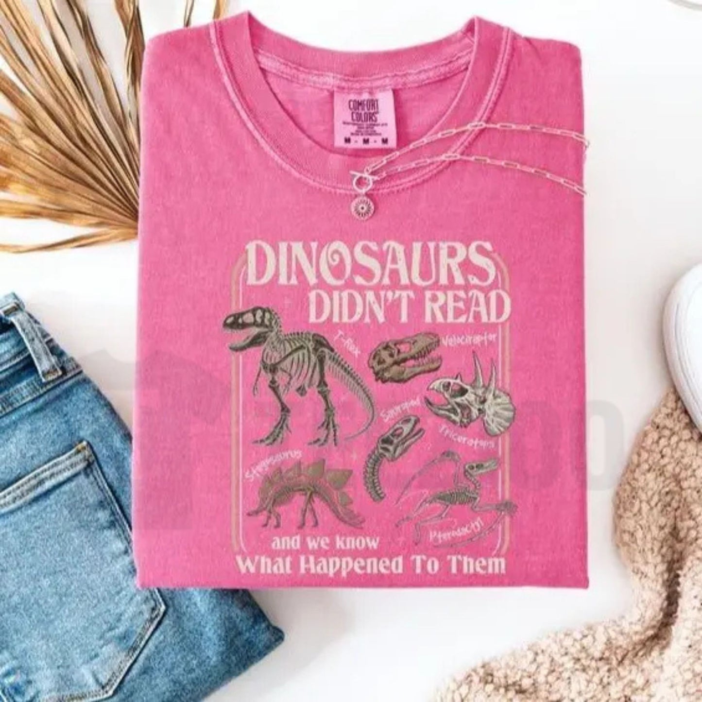 Dinosaurs Didn't Read Comfort Colors Shirt – Funny Teacher Literacy Graphic Tee