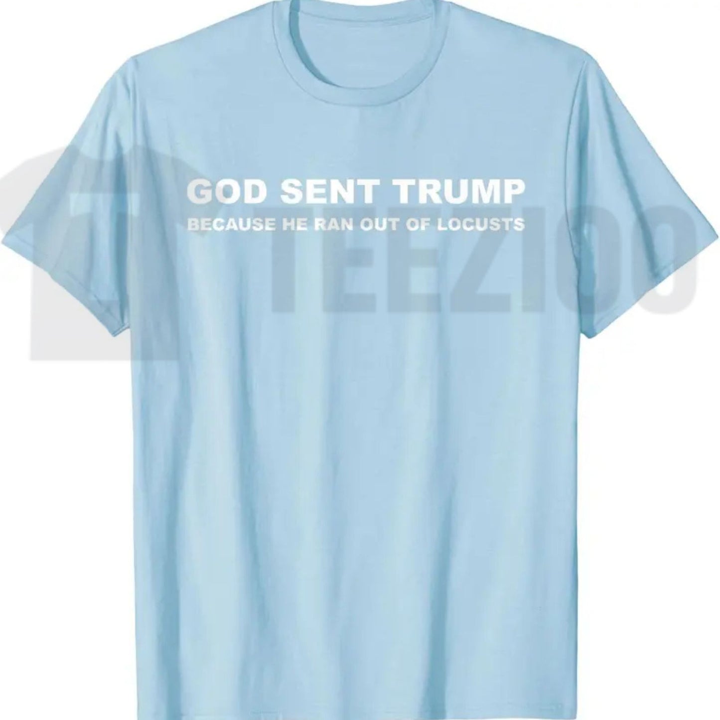 Biblical Plague Satire Graphic Top – Funny Political Humor Locusts Apparel
