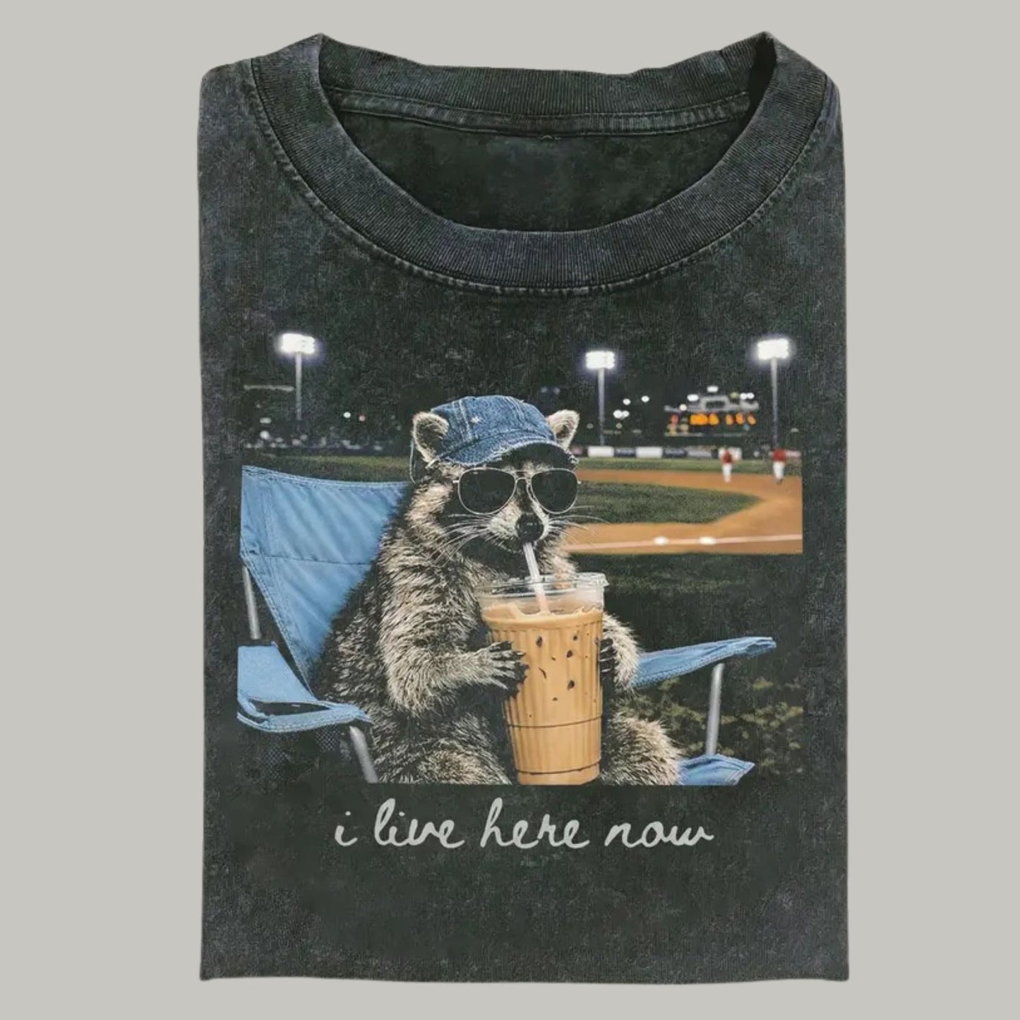 Comfort Colors Funny Raccoon Baseball T-Shirt – Retro Trash Panda Ballfield Graphic Tee, Sarcastic Sports Humor Shirt - Teezioo